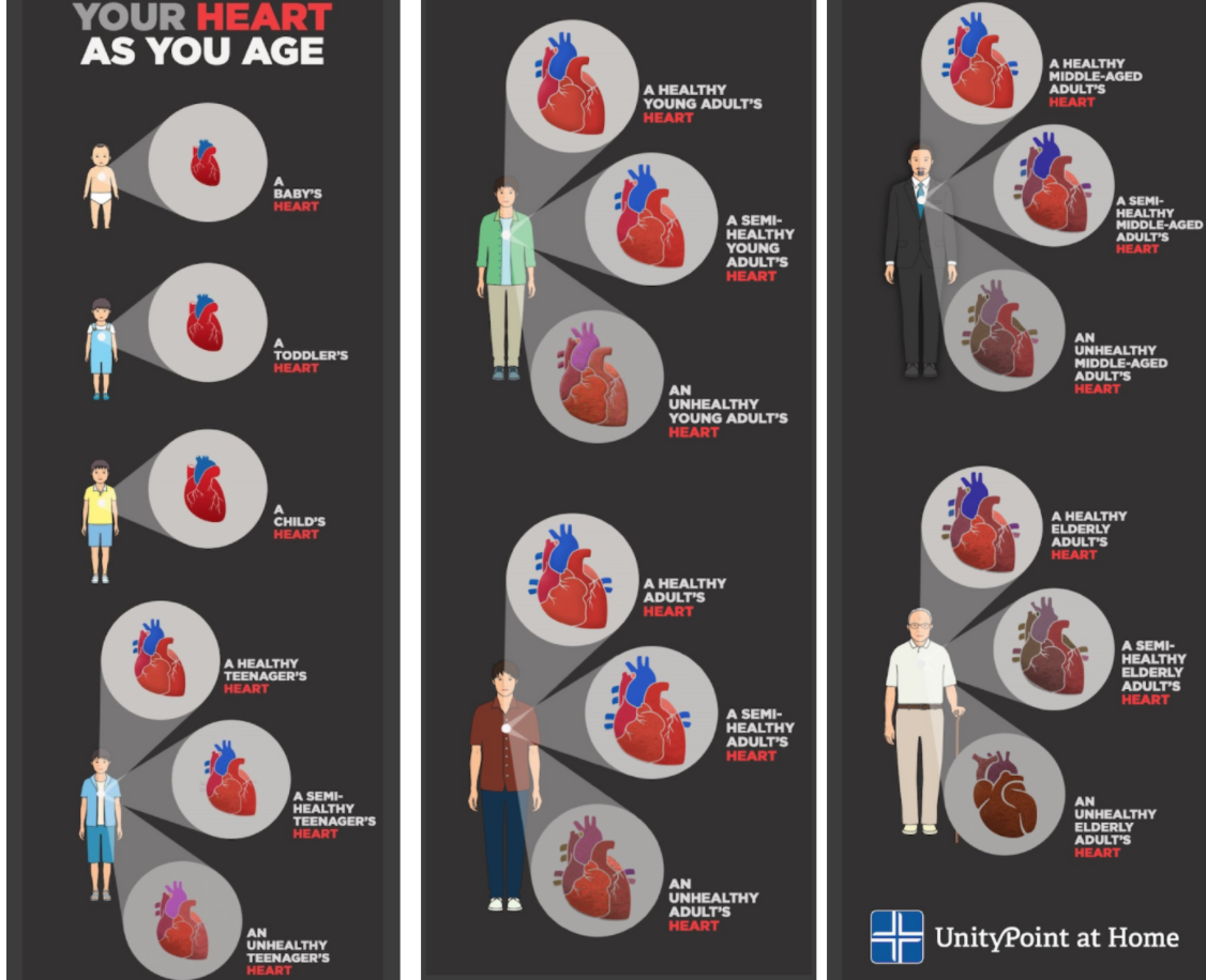How your Heart Rate Can Determine Your Overall Fitness Level